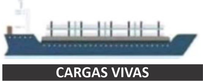 Cargas Vivas